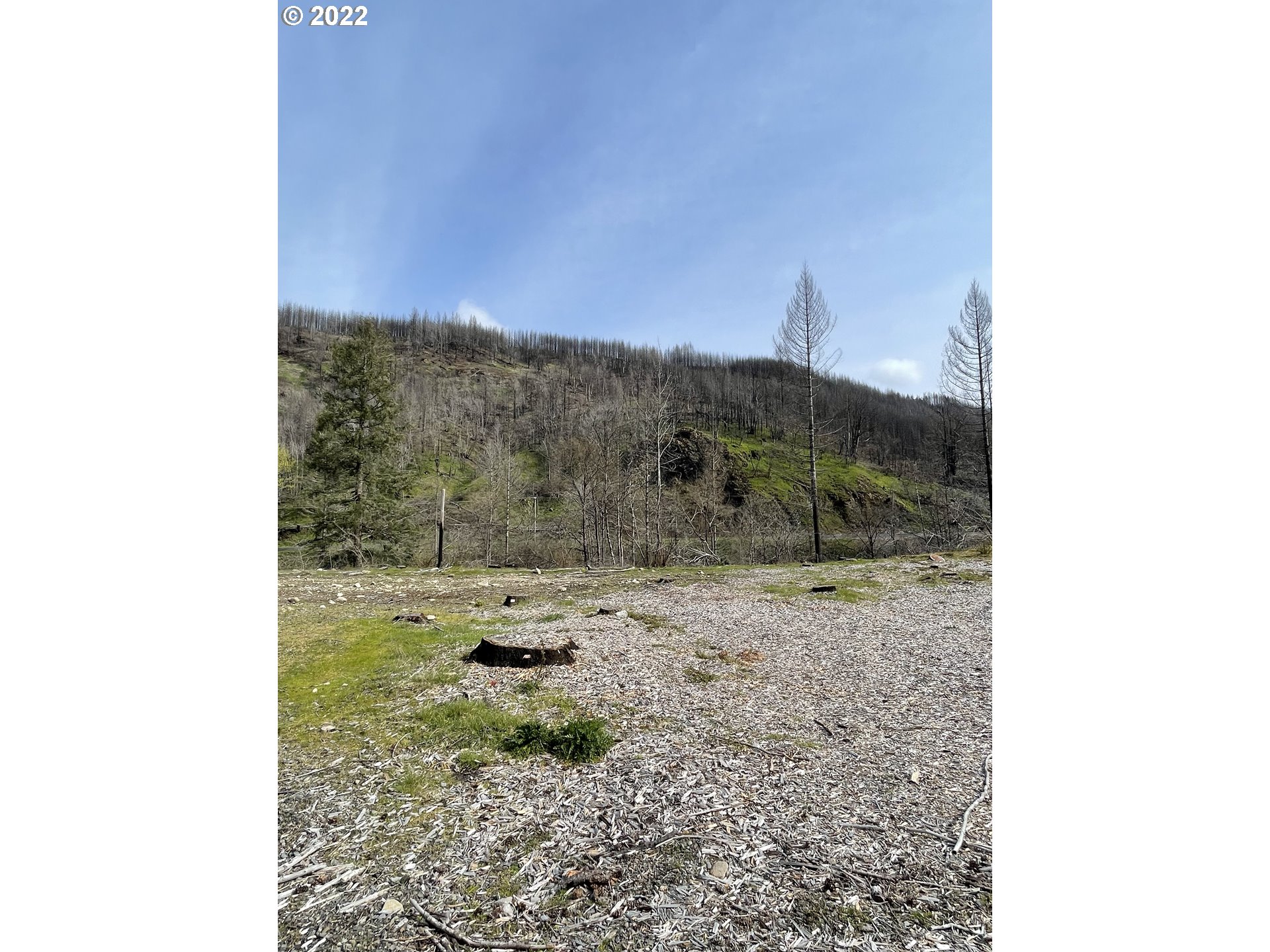 26037 Taylor Park Road Southeast Lyons, OR 97358 - Photo 10 of 14 Gallery Image 10