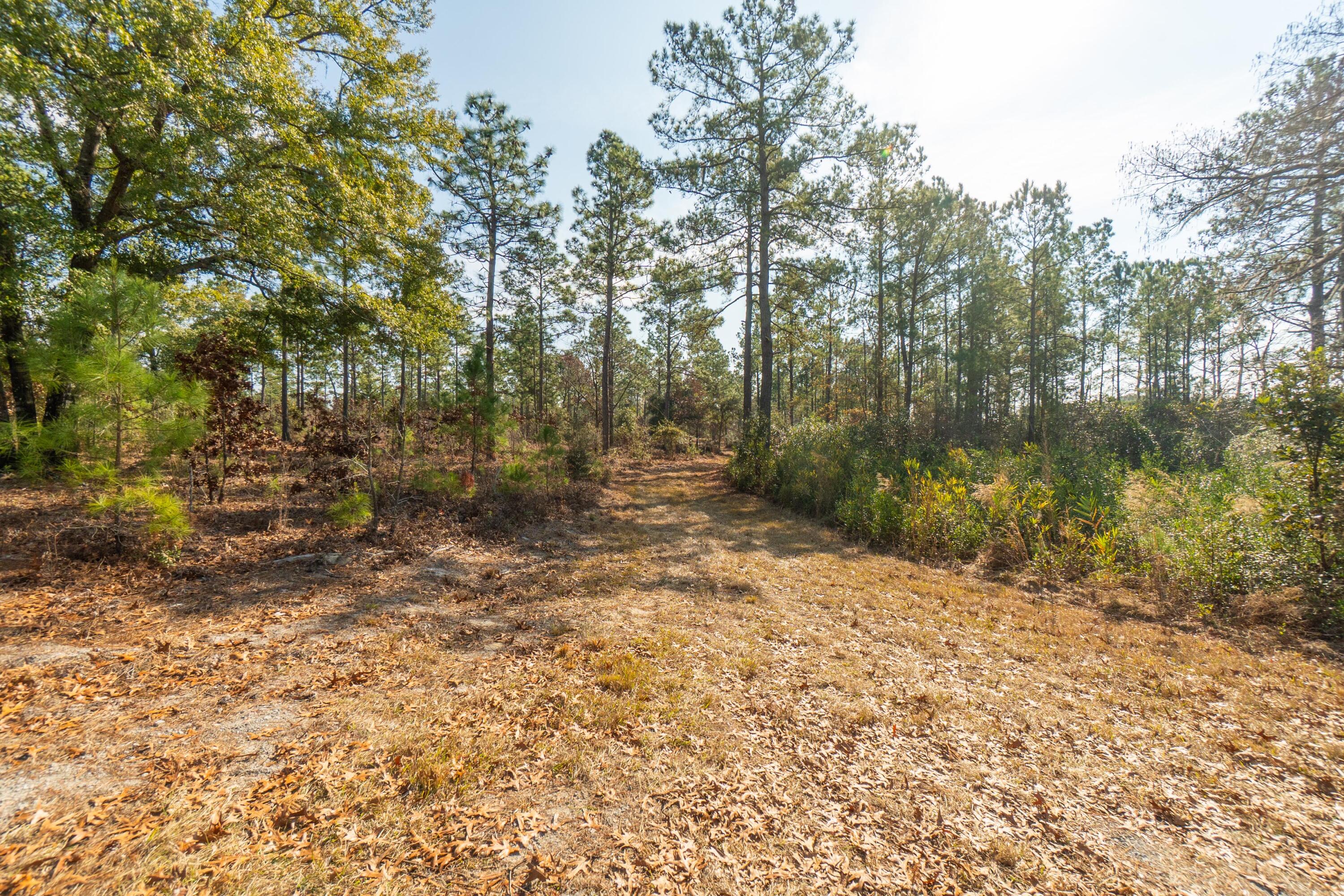 3 Old Town Avenue Georgetown, SC 29440 - Photo 101 of 104 101-OldTownAve