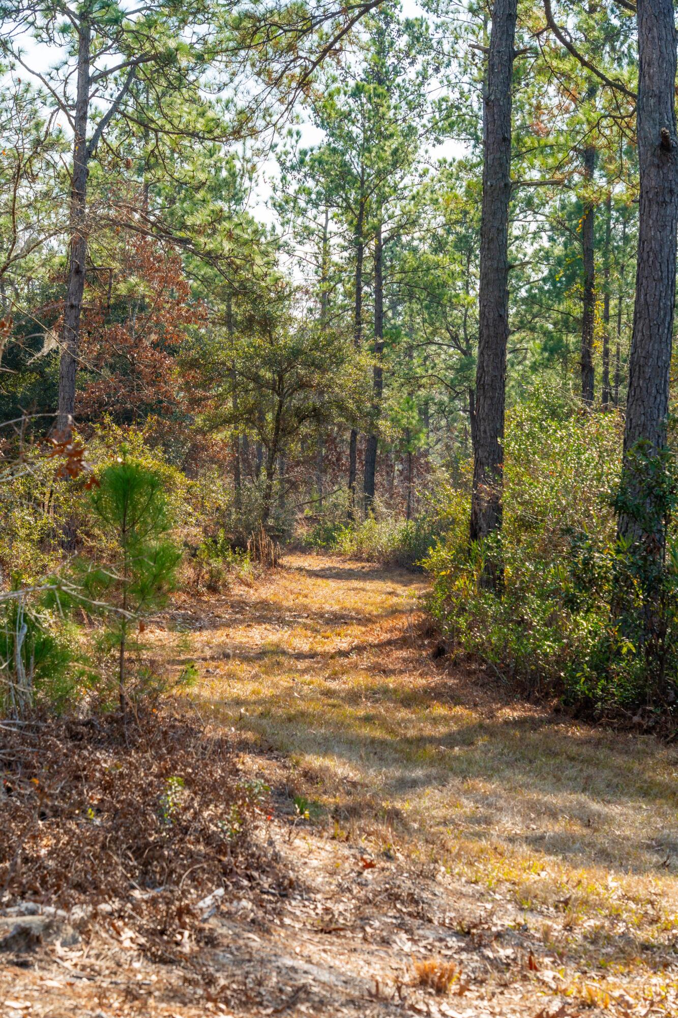 3 Old Town Avenue Georgetown, SC 29440 - Photo 102 of 104 102-OldTownAve