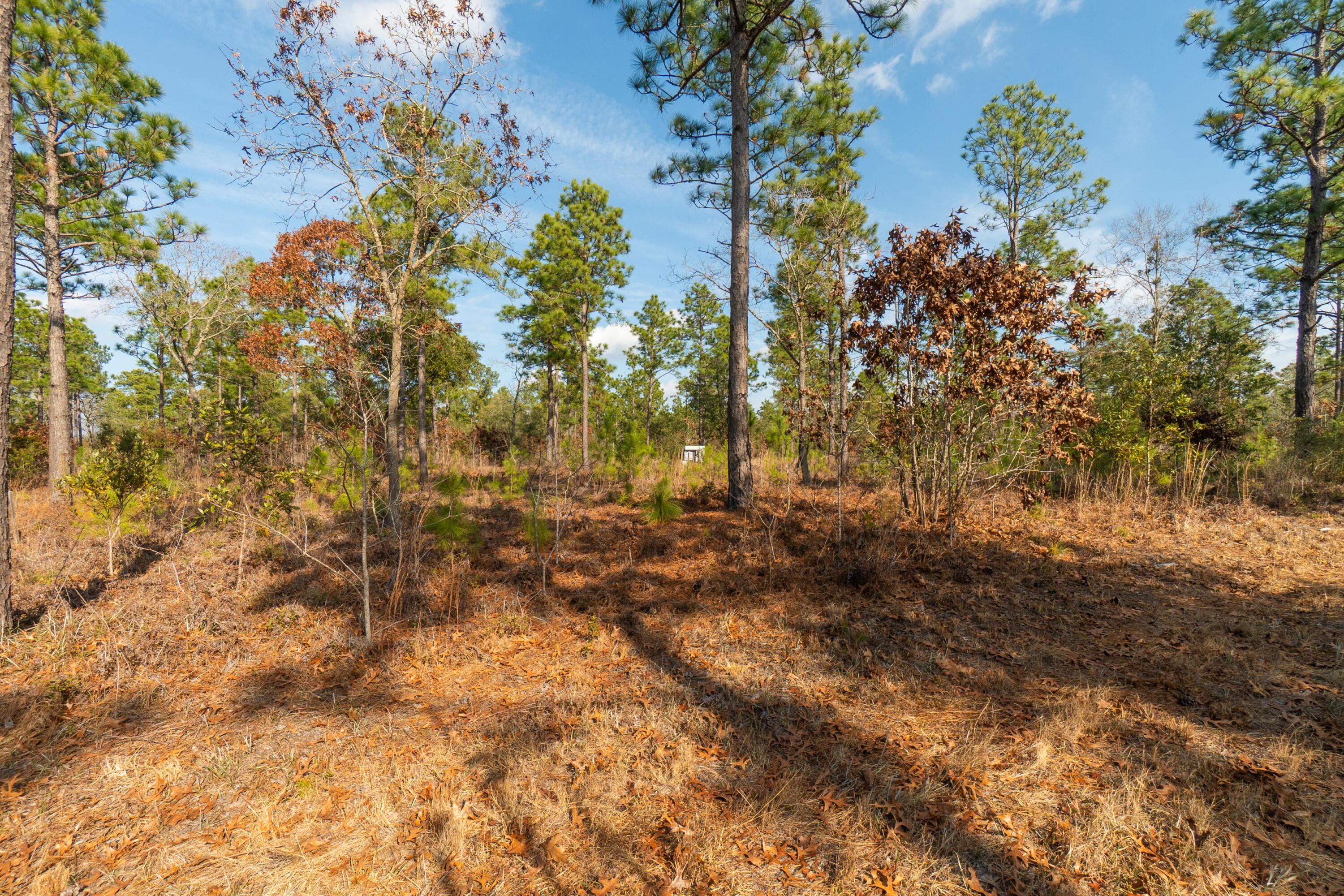 3 Old Town Avenue Georgetown, SC 29440 - Photo 103 of 104 103-OldTownAve