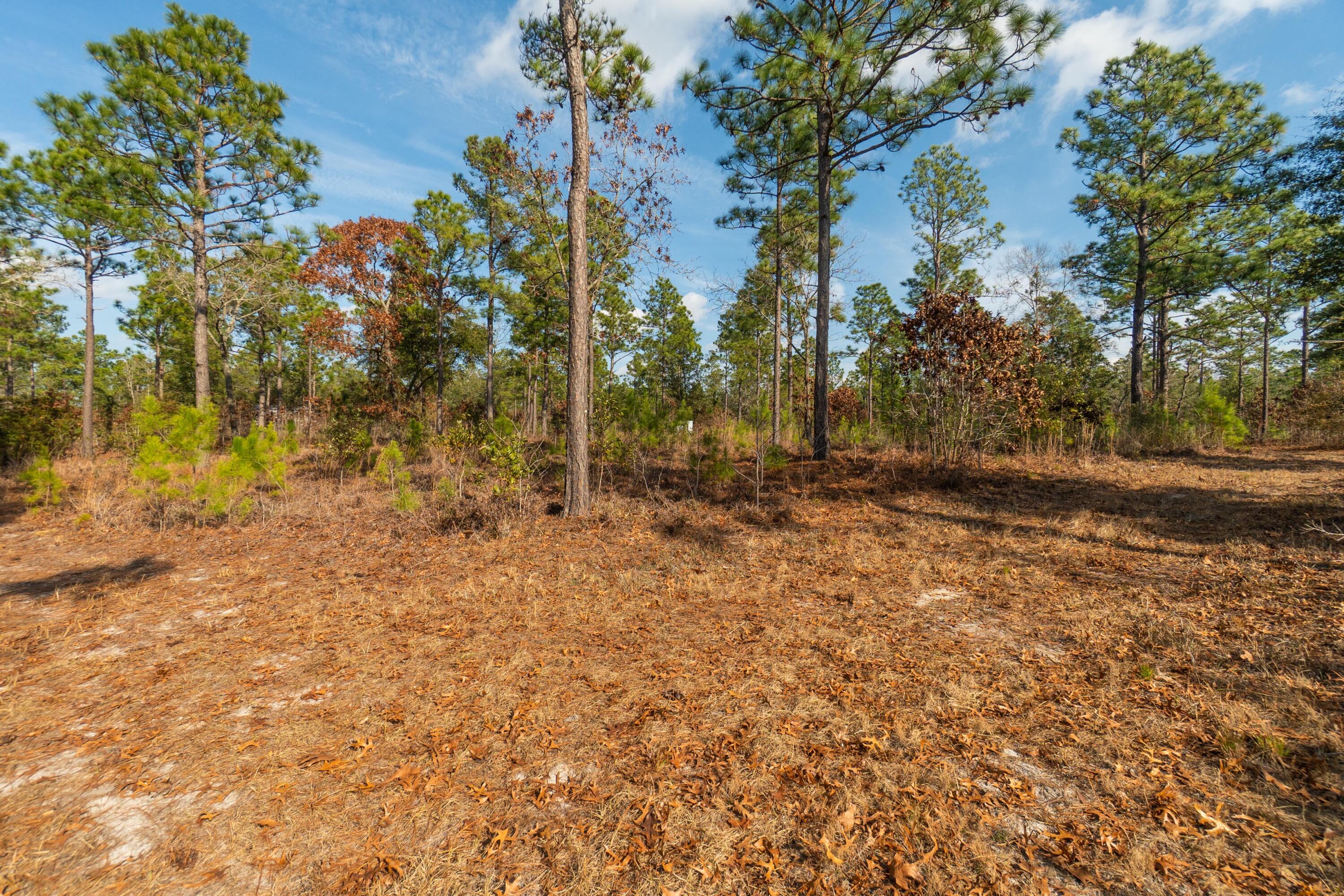3 Old Town Avenue Georgetown, SC 29440 - Photo 104 of 104 104-OldTownAve