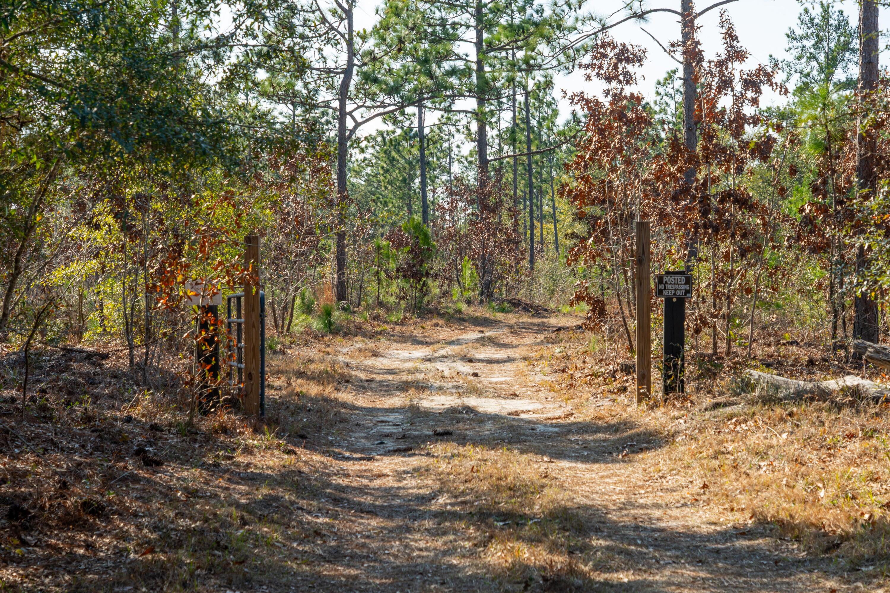 3 Old Town Avenue Georgetown, SC 29440 - Photo 15 of 104 15-OldTownAve