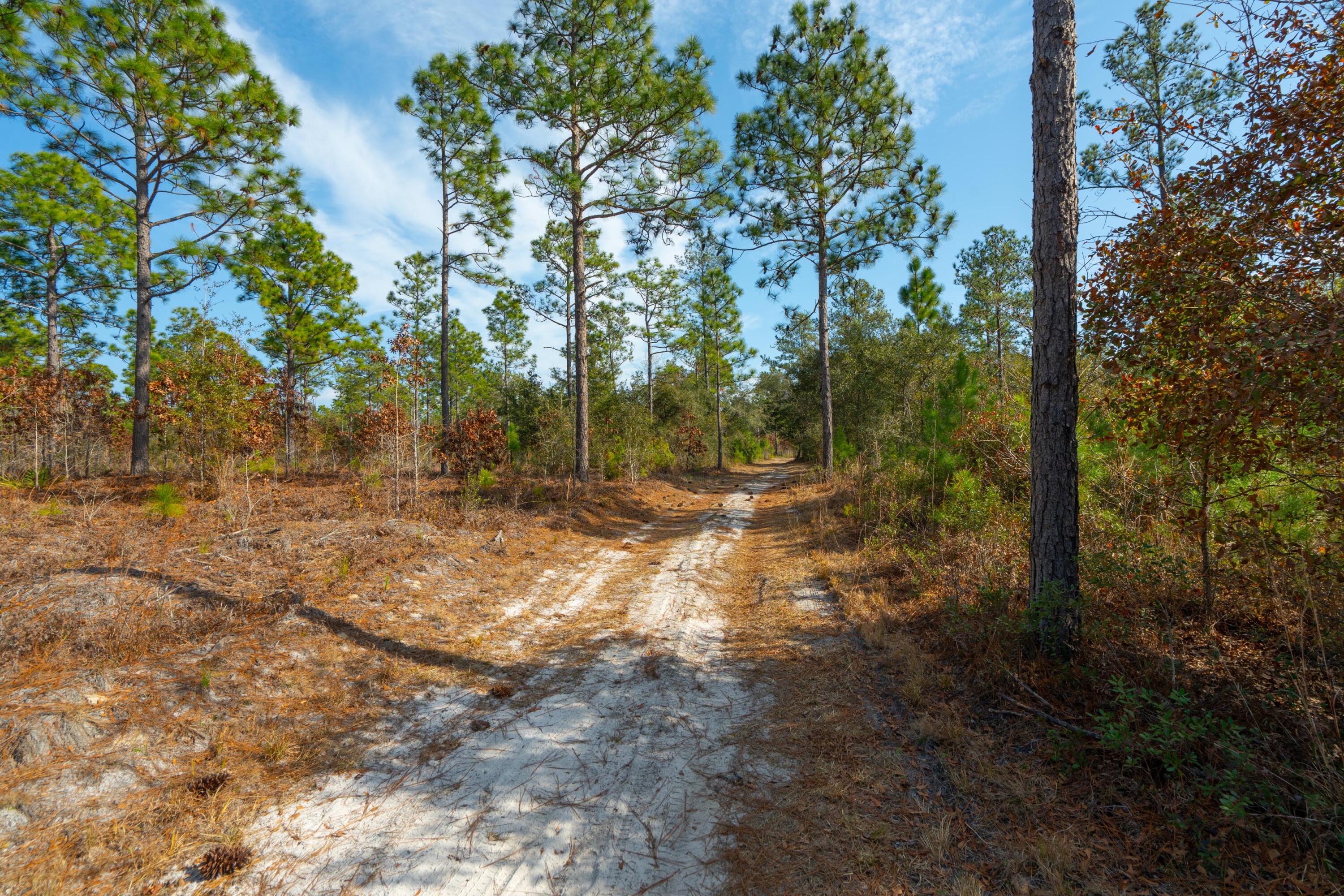 3 Old Town Avenue Georgetown, SC 29440 - Photo 16 of 104 16-OldTownAve