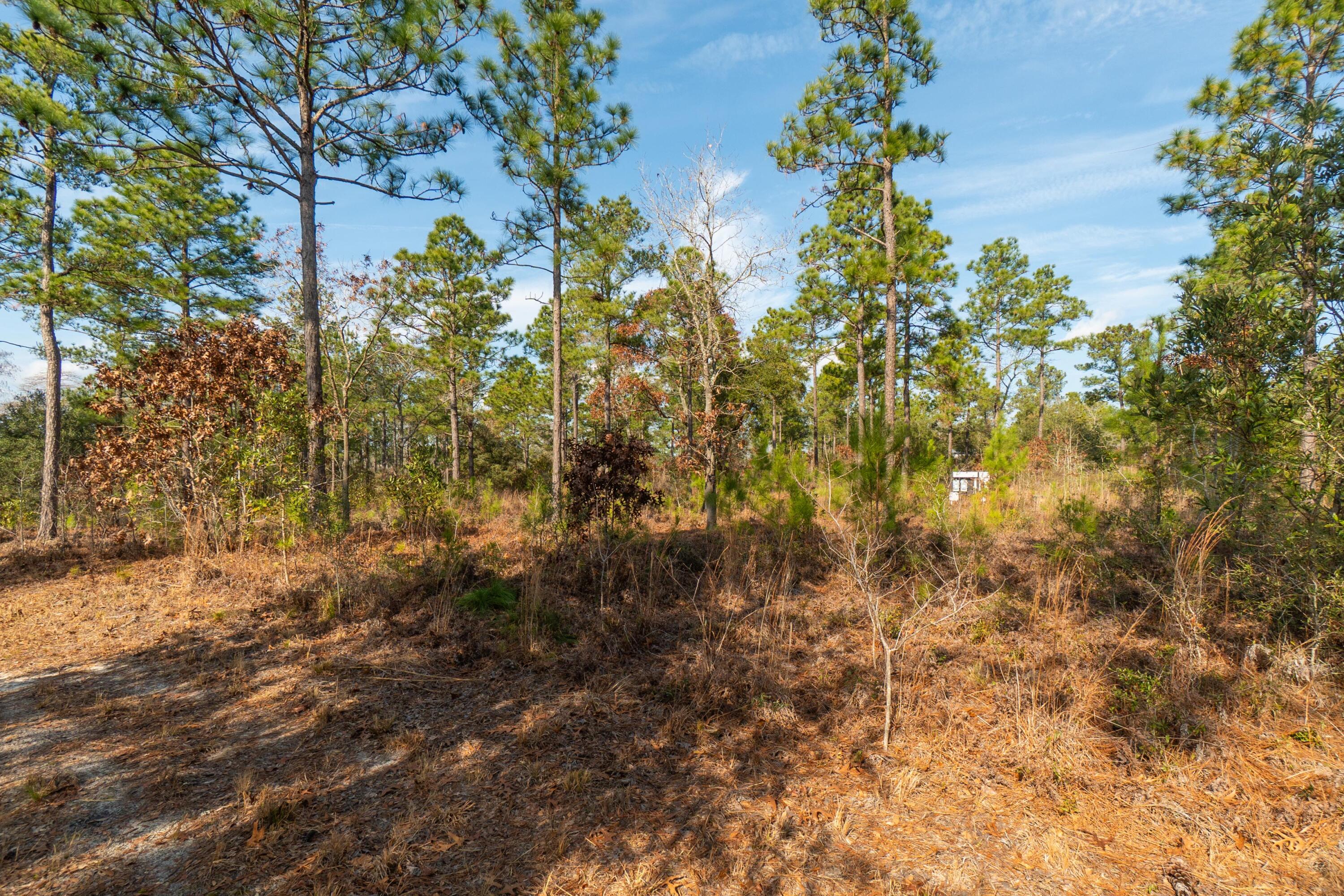 3 Old Town Avenue Georgetown, SC 29440 - Photo 19 of 104 19-OldTownAve