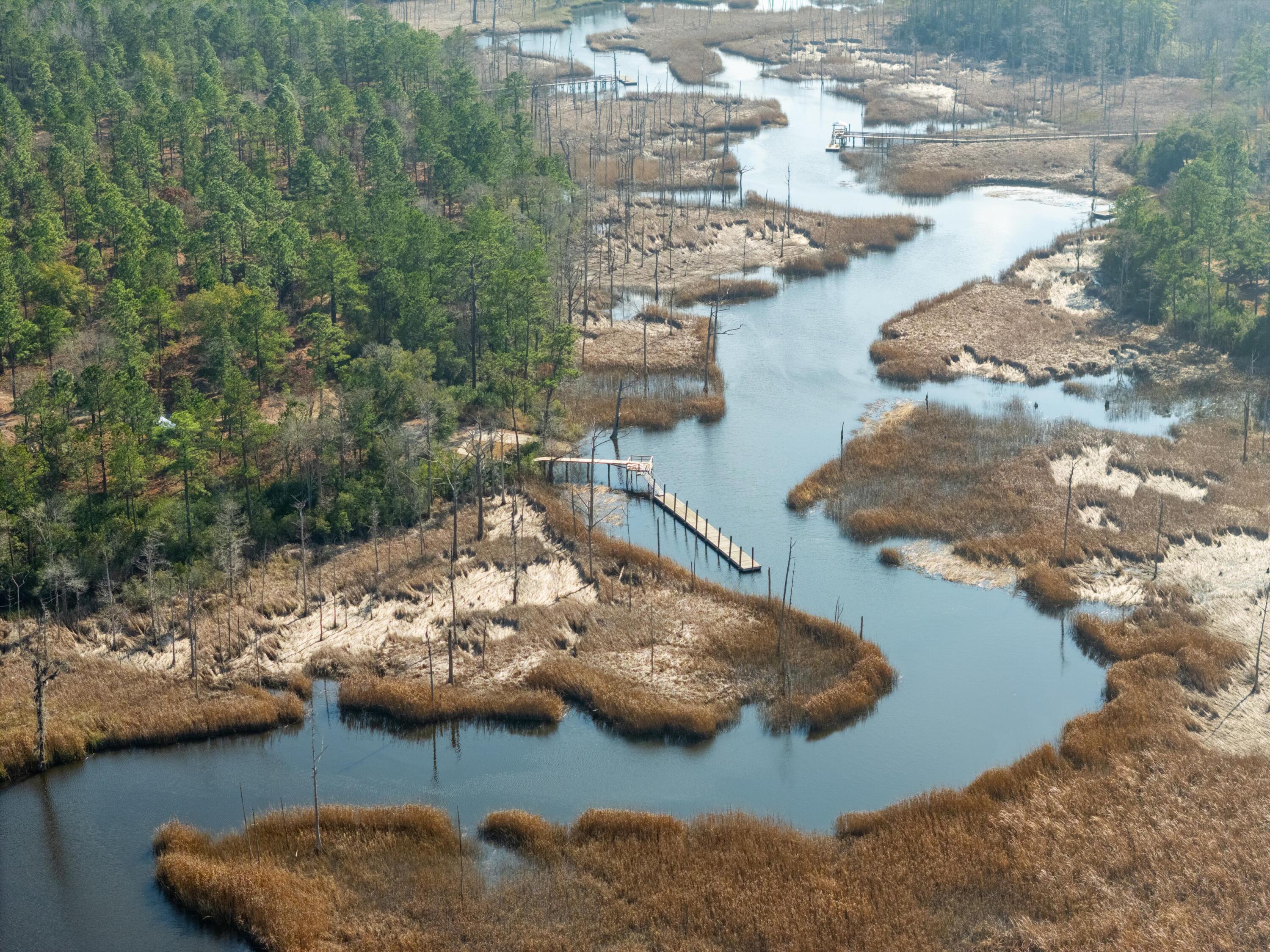 3 Old Town Avenue Georgetown, SC 29440 - Photo 62 of 104 62-OldTownAve