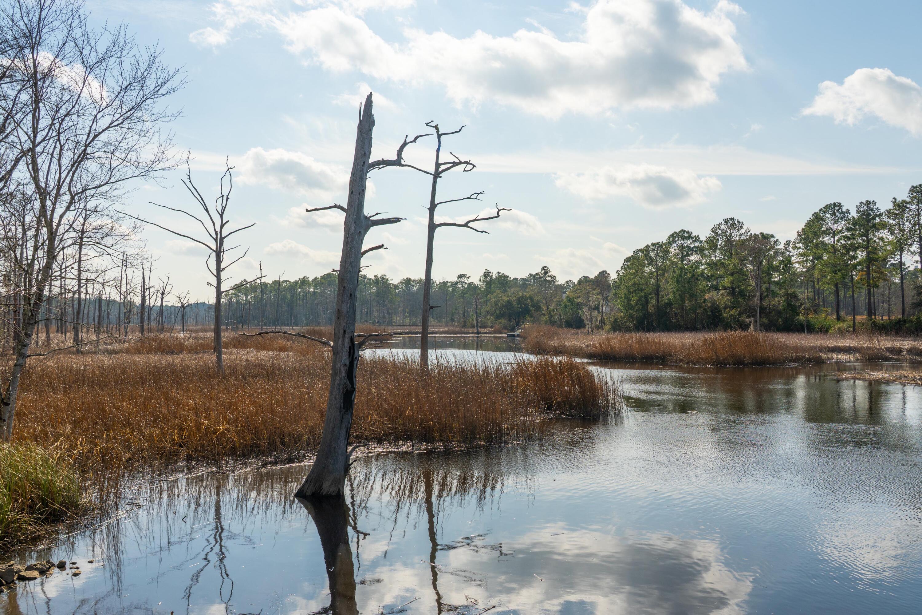 3 Old Town Avenue Georgetown, SC 29440 - Photo 82 of 104 82-OldTownAve