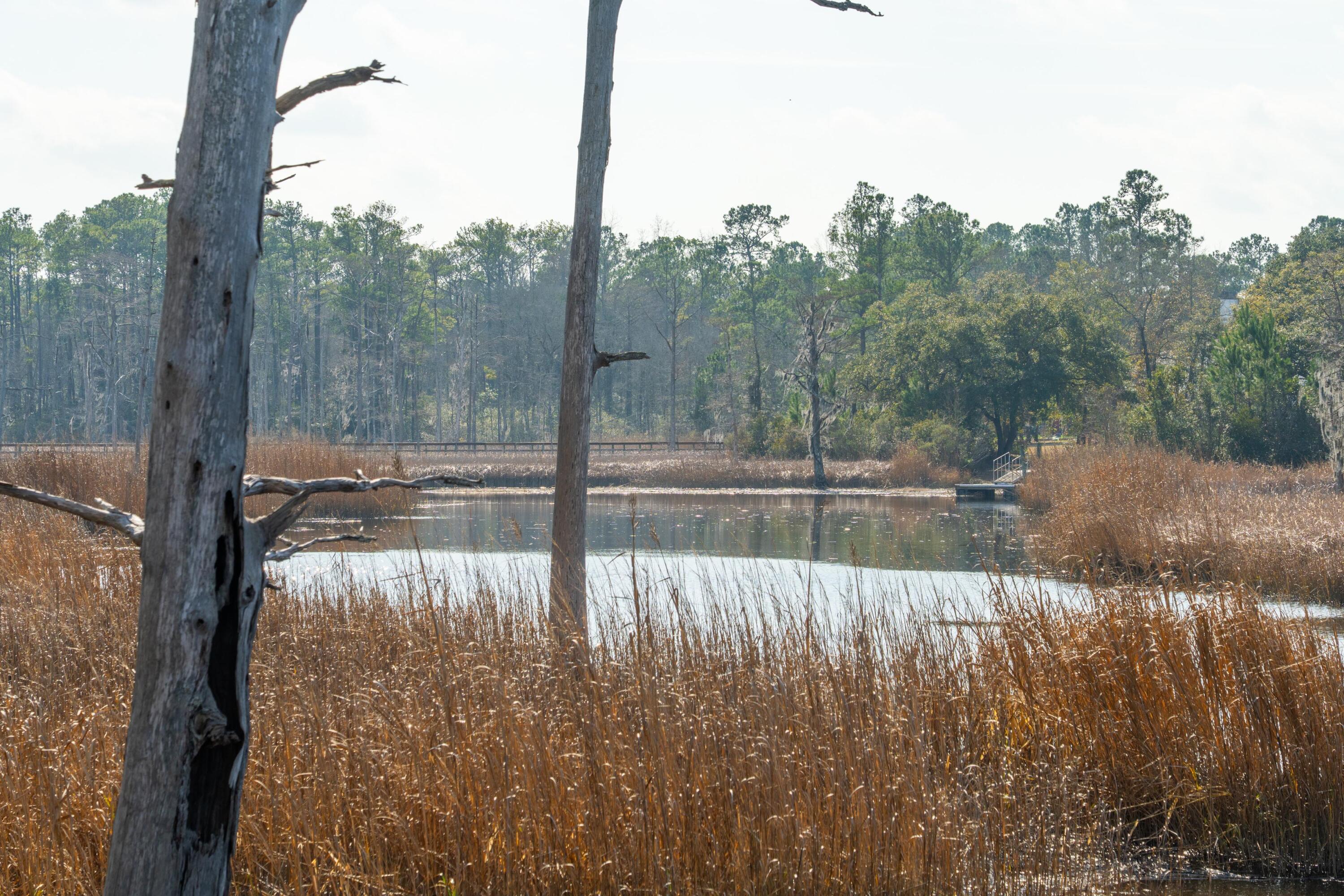 3 Old Town Avenue Georgetown, SC 29440 - Photo 83 of 104 83-OldTownAve