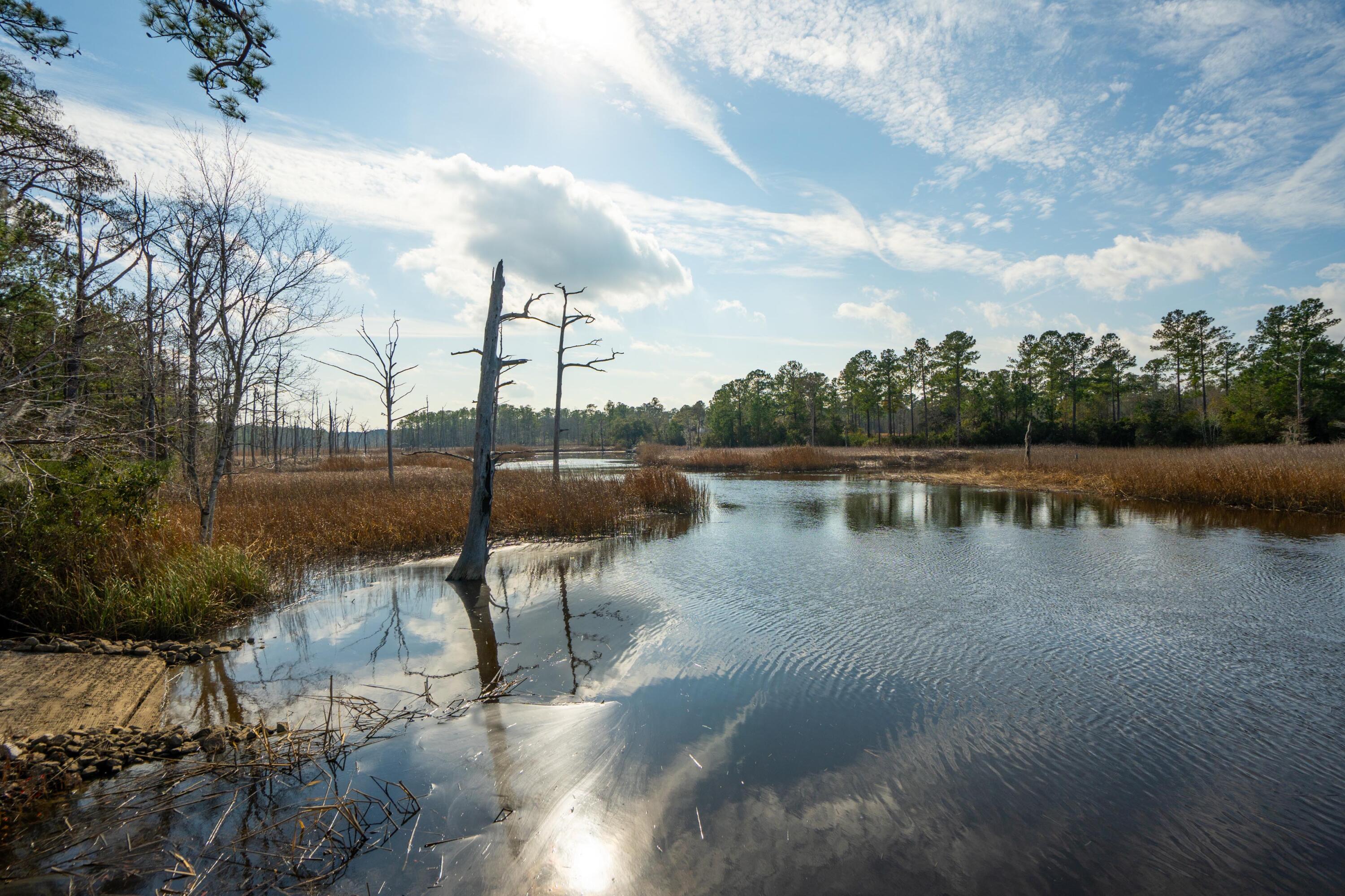 3 Old Town Avenue Georgetown, SC 29440 - Photo 86 of 104 86-OldTownAve