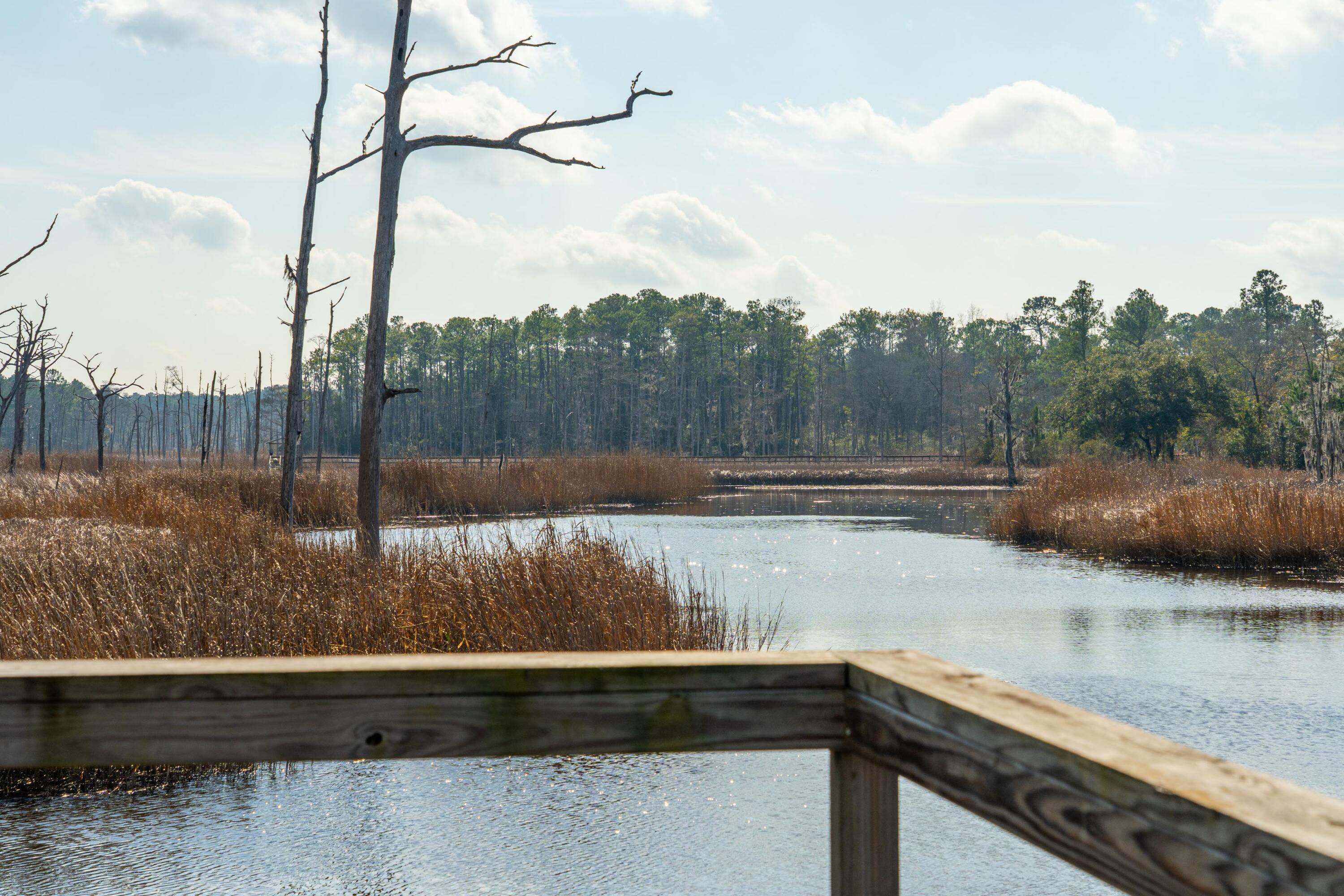 3 Old Town Avenue Georgetown, SC 29440 - Photo 89 of 104 89-OldTownAve