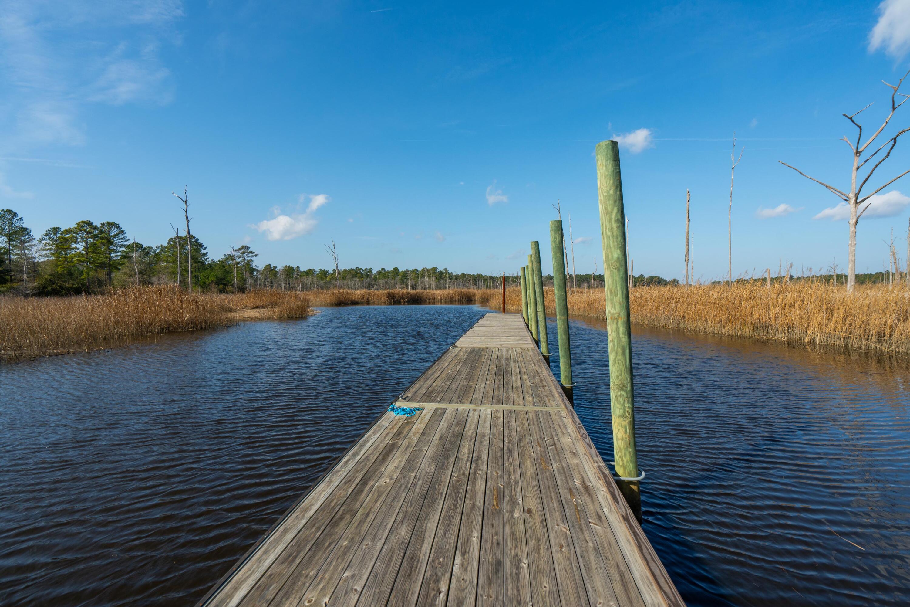 3 Old Town Avenue Georgetown, SC 29440 - Photo 91 of 104 91-OldTownAve