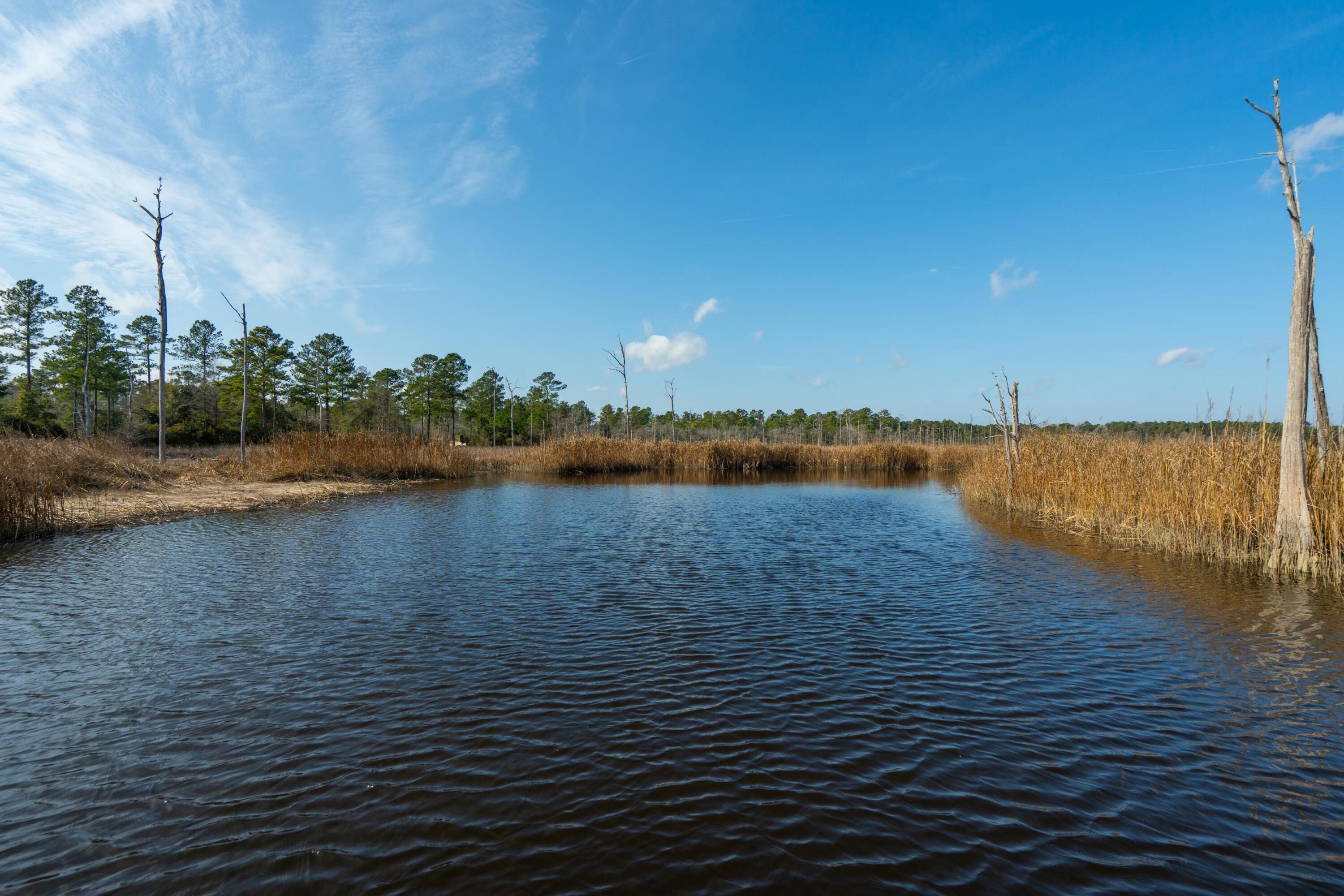 3 Old Town Avenue Georgetown, SC 29440 - Photo 93 of 104 93-OldTownAve