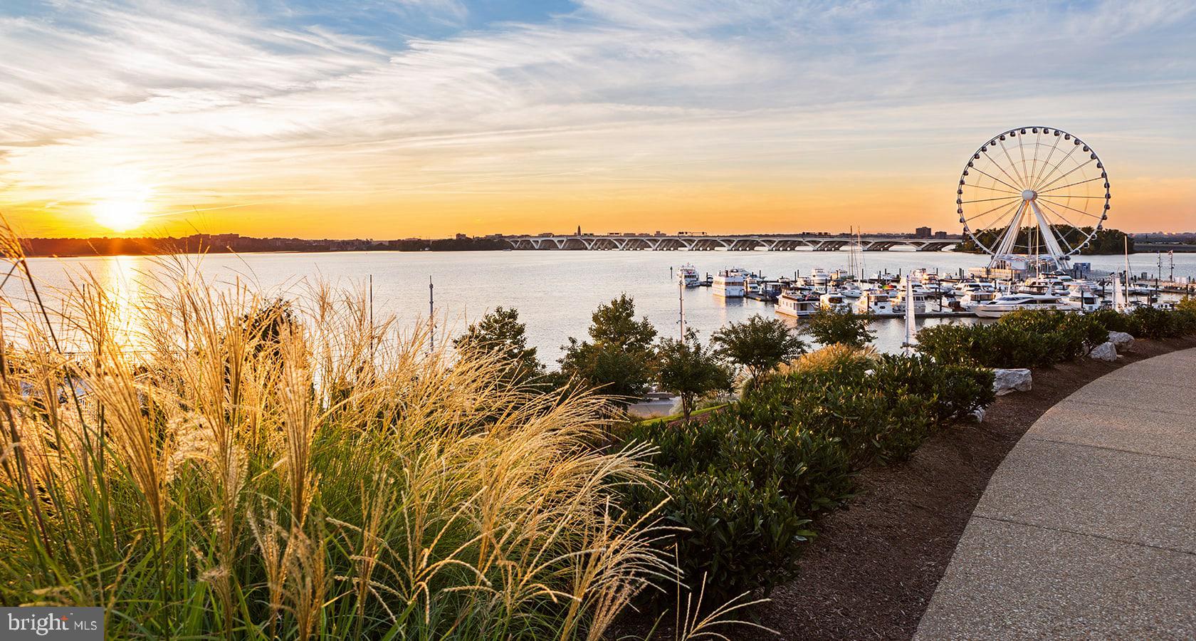 529 Rosier Road Fort Washington, MD 20744 - Photo 58 of 63 National Harbor