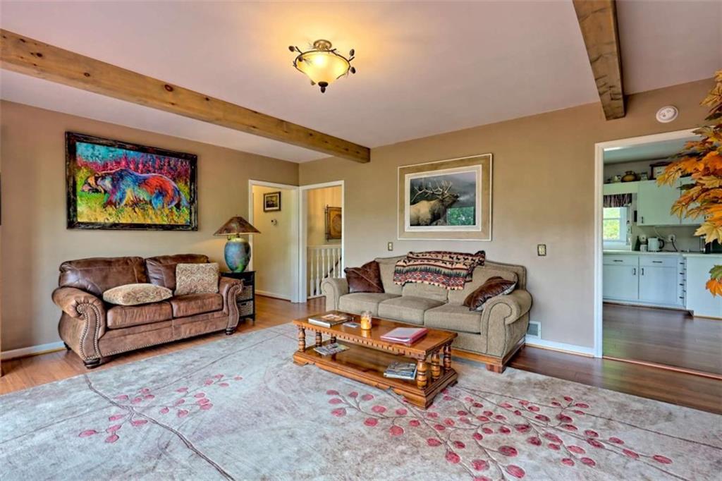 995 Glassy Mountain Road Hiawassee, GA 30546 - Photo 13 of 87 a living room with furniture and a rug
