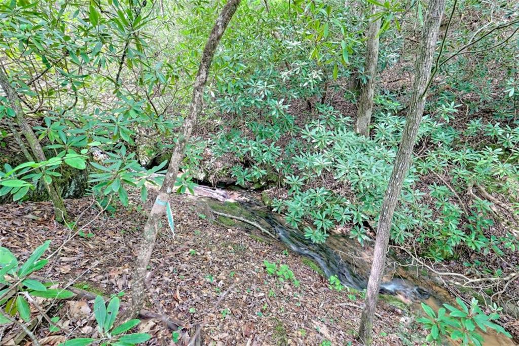 995 Glassy Mountain Road Hiawassee, GA 30546 - Photo 67 of 87 a backyard of a house with lots of green space