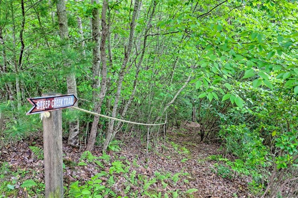 995 Glassy Mountain Road Hiawassee, GA 30546 - Photo 69 of 87