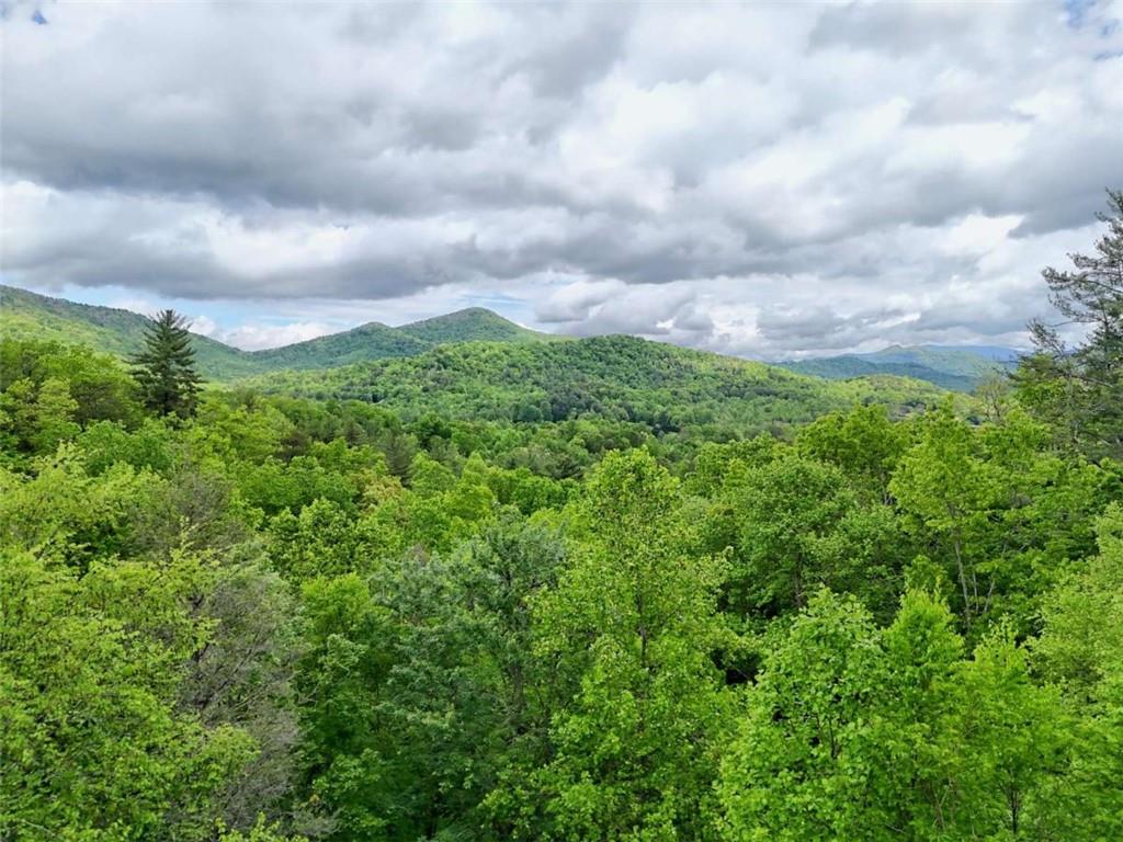 995 Glassy Mountain Road Hiawassee, GA 30546 - Photo 77 of 87 a view of a big yard with lots of green space