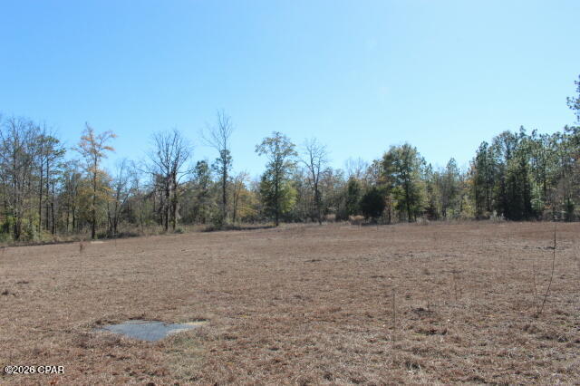 6297 Americus Road Marianna, FL 32446 - Photo 13 of 28