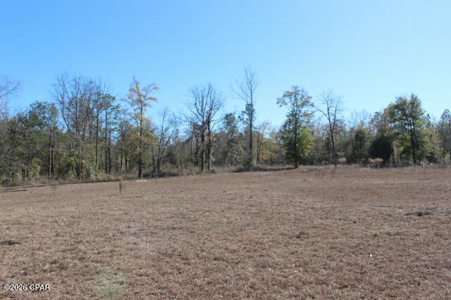 6297 Americus Road Marianna, FL 32446 - Photo 14 of 28