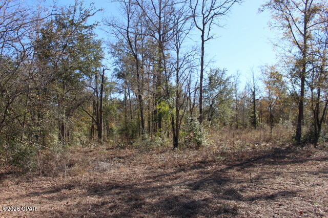 6297 Americus Road Marianna, FL 32446 - Photo 20 of 28