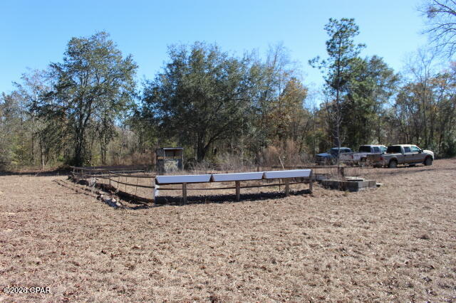 6297 Americus Road Marianna, FL 32446 - Photo 23 of 28