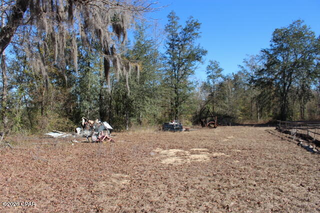 6297 Americus Road Marianna, FL 32446 - Photo 24 of 28