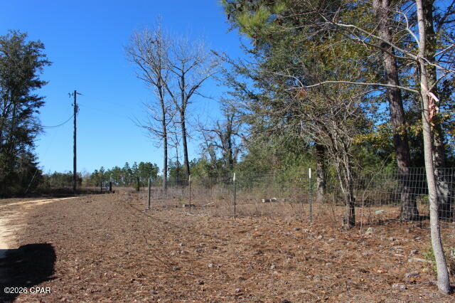 6297 Americus Road Marianna, FL 32446 - Photo 28 of 28