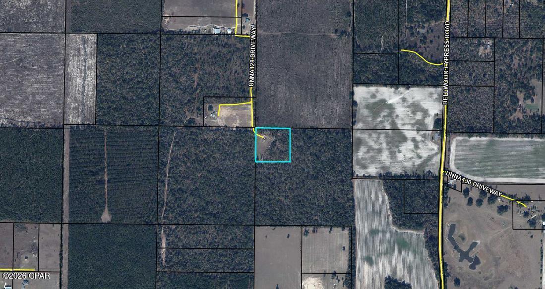 6297 Americus Road Marianna, FL 32446 - Photo 3 of 28