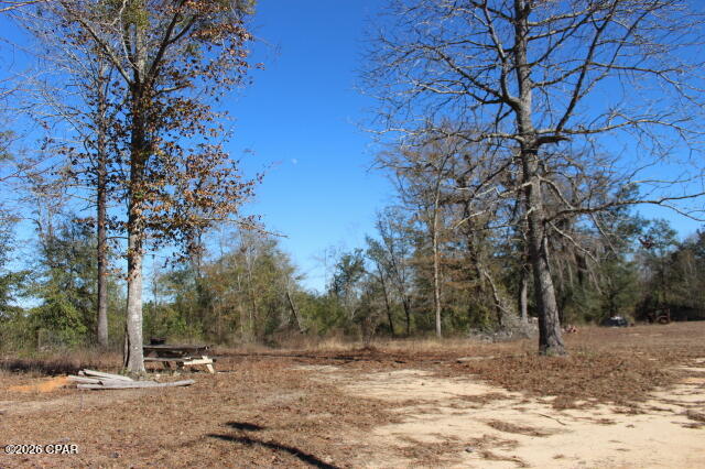 6297 Americus Road Marianna, FL 32446 - Photo 9 of 28