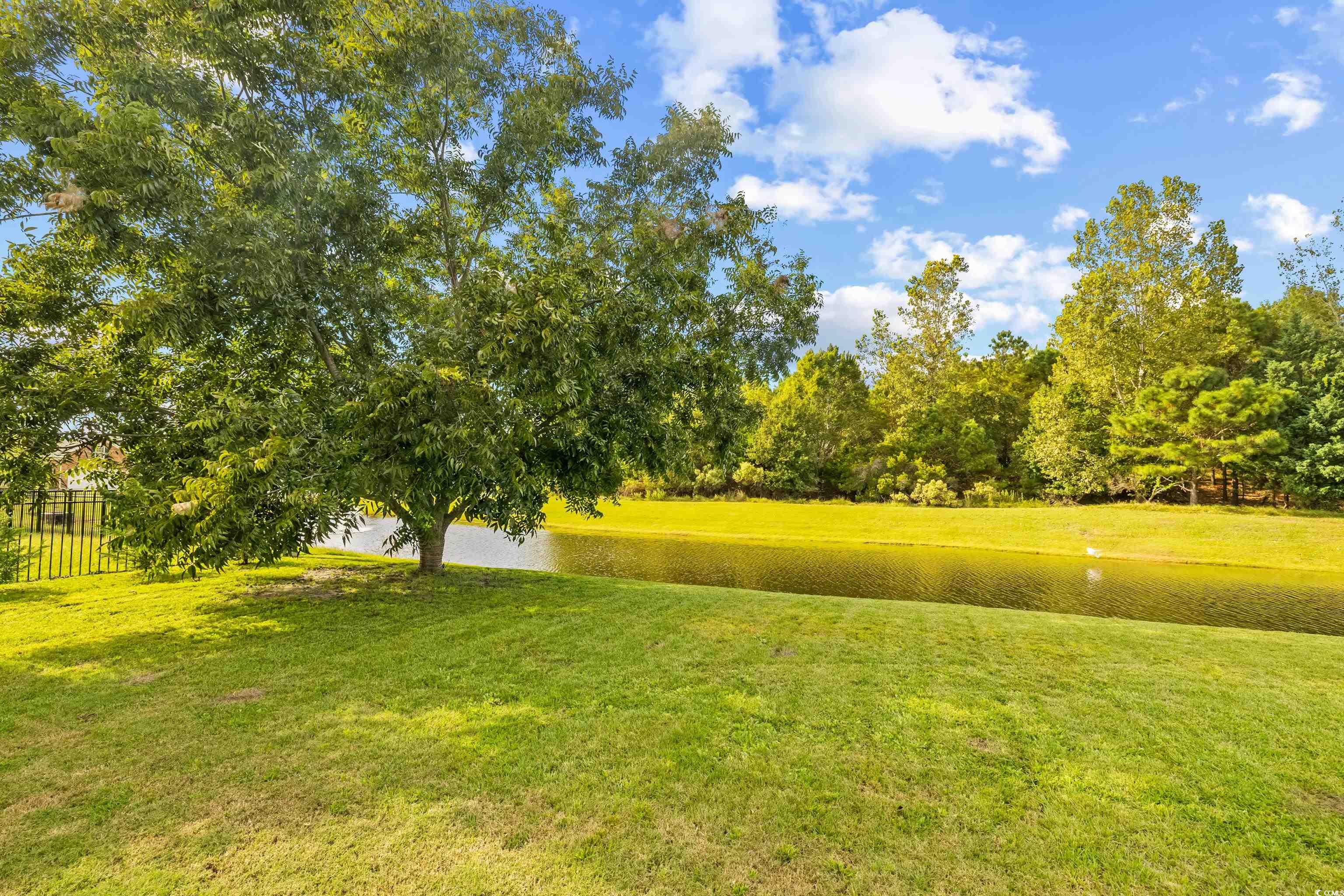 987 Shipmaster Avenue Myrtle Beach, SC 29579 - Photo 30 of 40