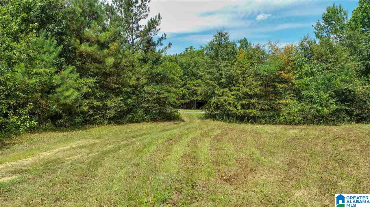 3443 County Road 69, Unit 2 Clanton, AL 35045 - Photo 8 of 8
