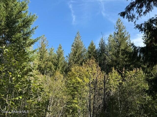 788 Gold Cup Mountain Road Laclede, ID 83841 - Photo 12 of 14 Tree tops