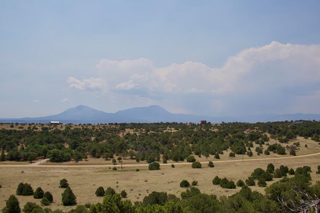 Unit #4 Unit Road Walsenburg, CO 81089 - Photo 21 of 36