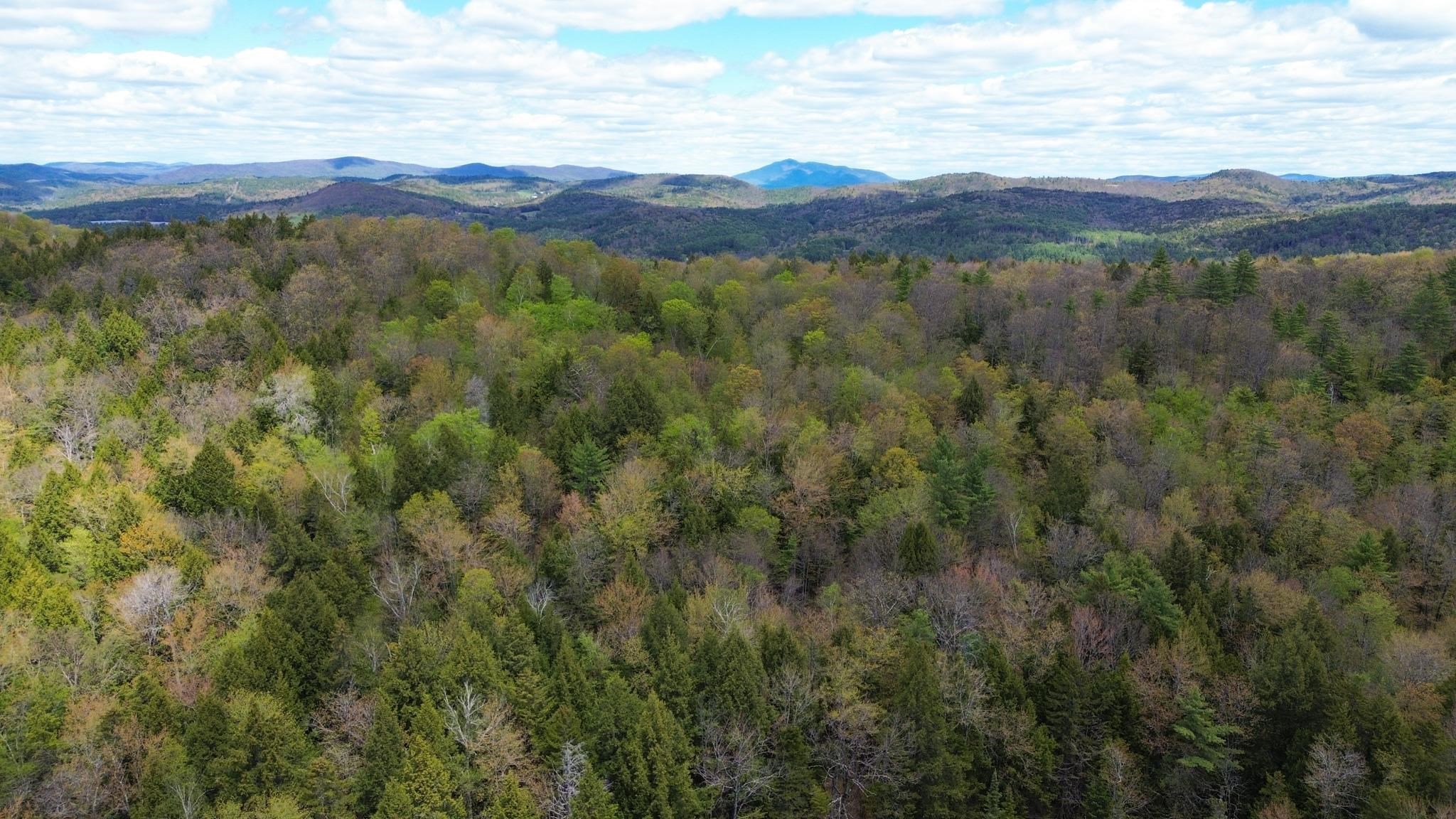 1175 Quarry Road Chester, VT 05143 - Photo 19 of 20