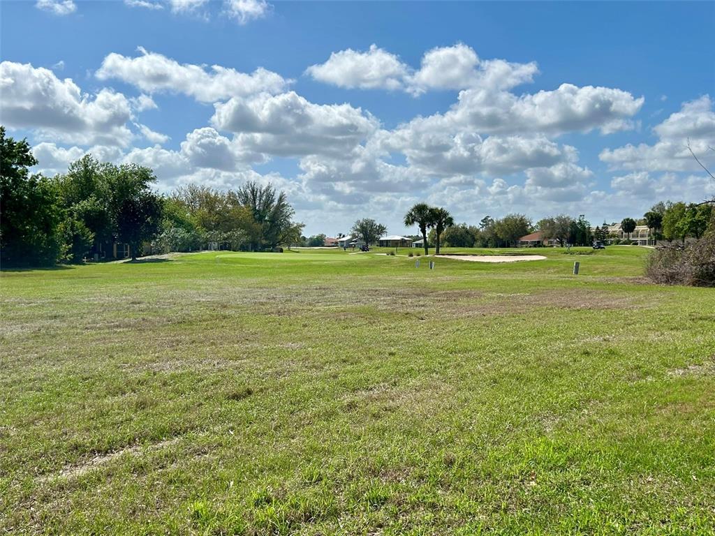 26141 Northern Cross Road Punta Gorda, FL 33983 - Photo 17 of 17 a view of a big room with a big yard and a fountain