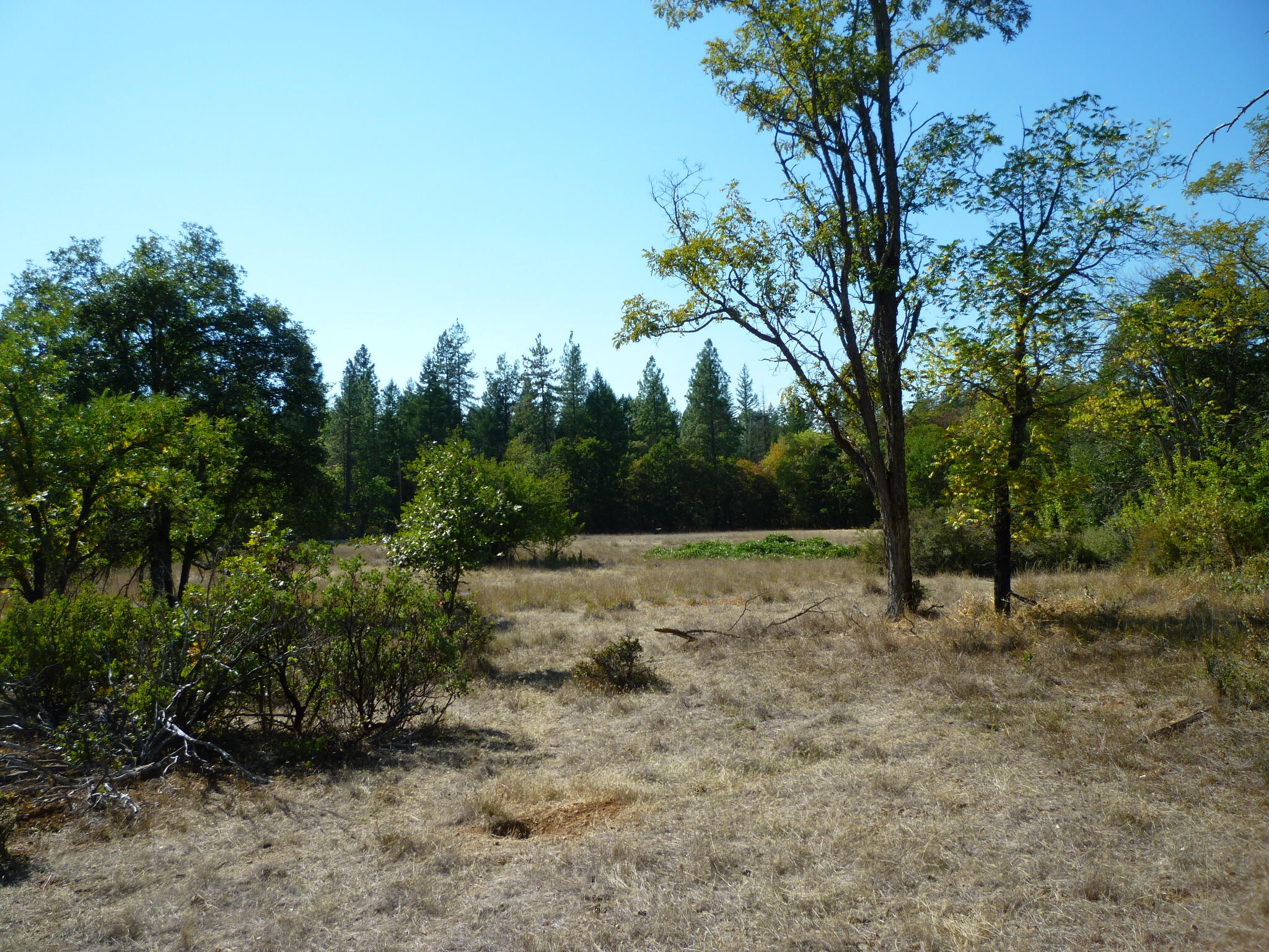 4125 Dick George Road Cave Junction, OR 97523 - Photo 9 of 50 P1160042