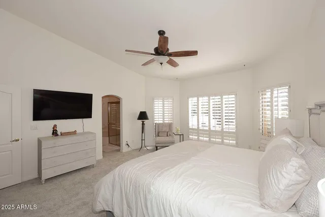 a view of a dry yard with trees