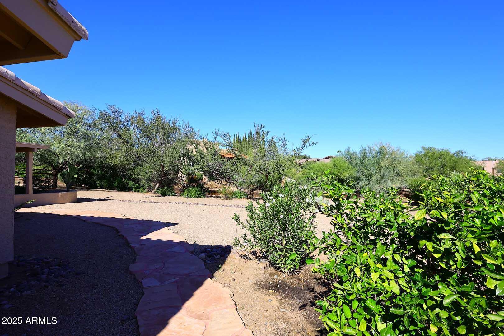 18510 East Leather Lane Rio Verde, AZ 85263 - Photo 35 of 67 a view of a yard with an tree