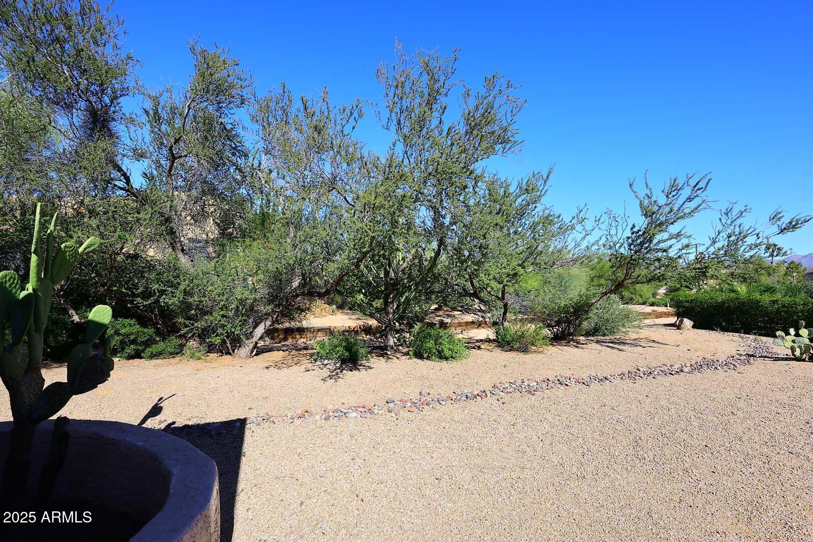 18510 East Leather Lane Rio Verde, AZ 85263 - Photo 37 of 67 a view of a dry yard with trees