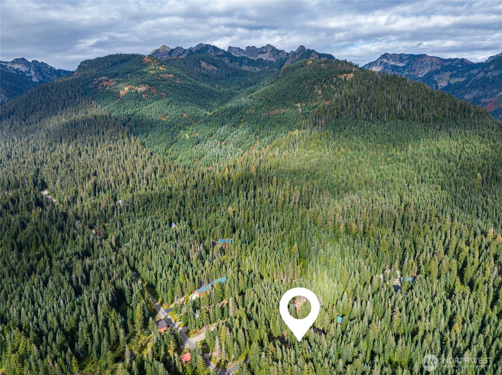 91 Mountain Home Road Snoqualmie Pass, WA 98068 - Photo 28 of 34 a view of a green field with lots of bushes