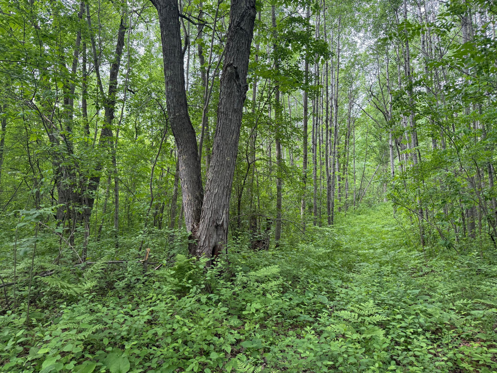 10551 Mallard Road Brook Park, MN 55007 - Photo 26 of 44