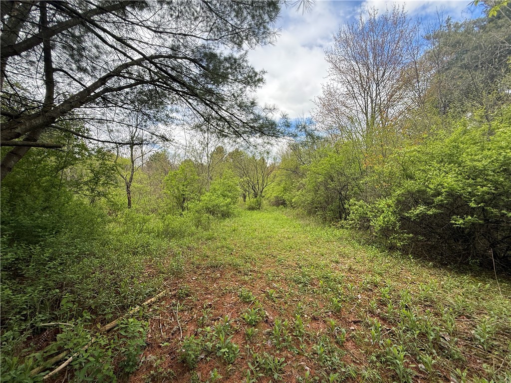 Caswell Road Freeville, NY 13068 - Photo 10 of 47