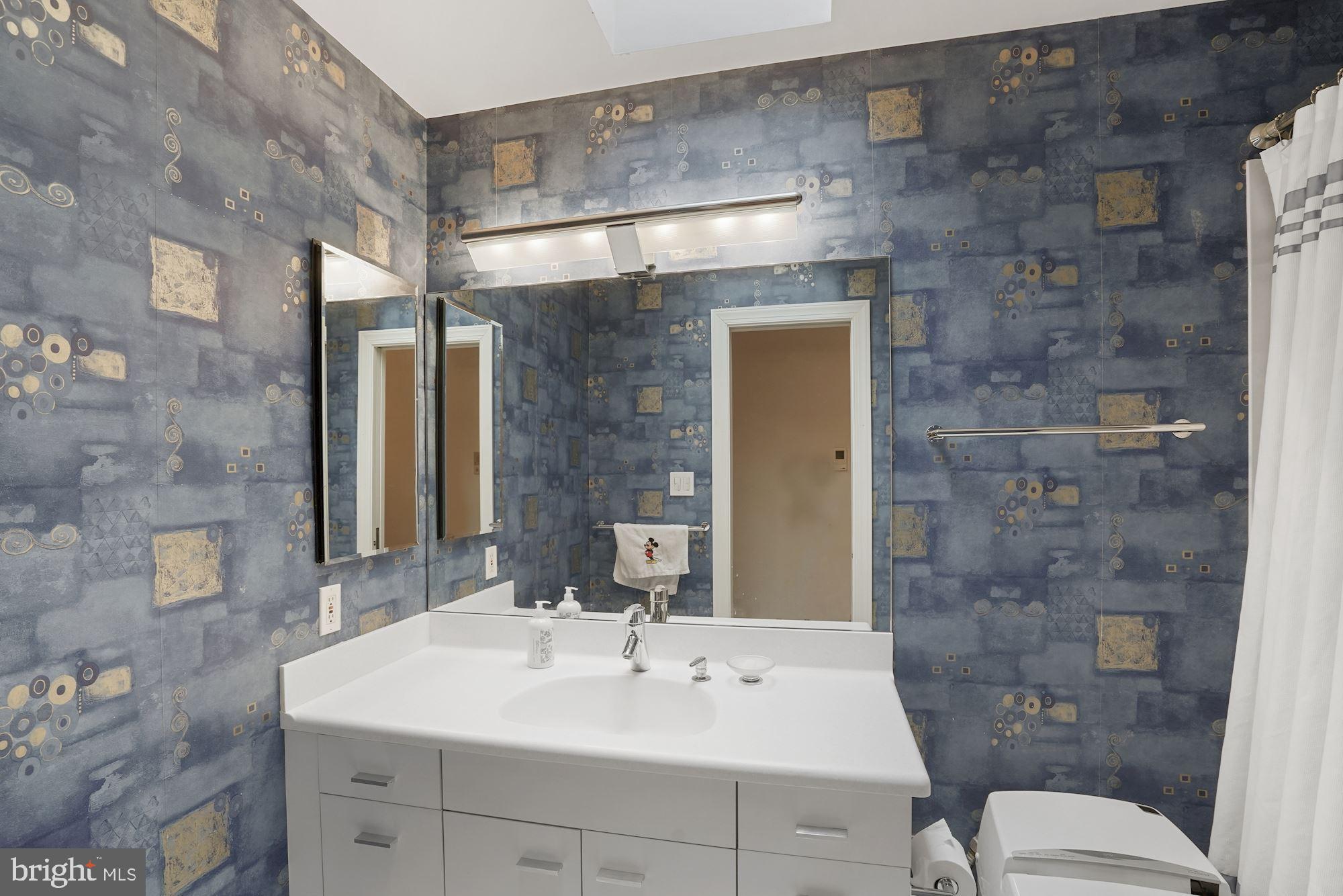 4062 Ridgeview Circle McLean, VA 22101 - Photo 19 of 56 Updated Hall Bath withskylight
