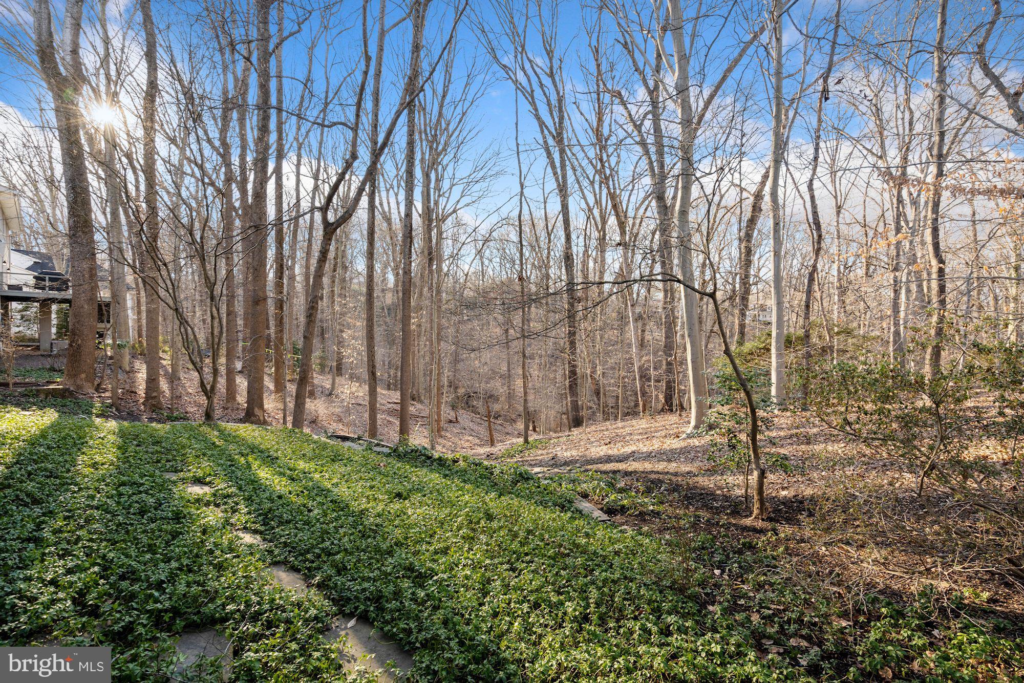 4062 Ridgeview Circle McLean, VA 22101 - Photo 23 of 56 Wooded rear yard