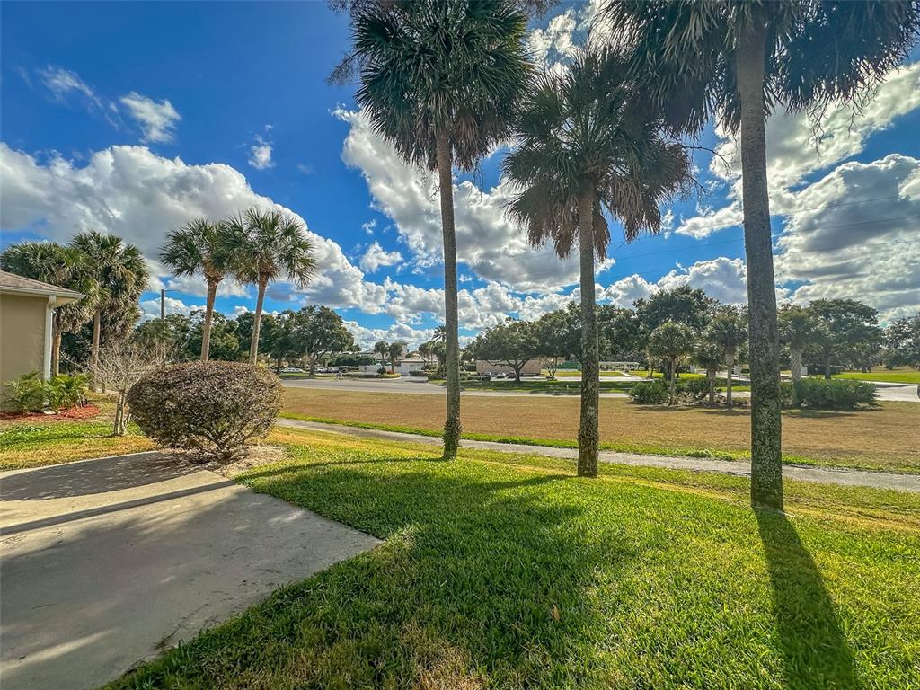 5300 Treasure View Way Leesburg, FL 34748 - Photo 28 of 47 a view of a park with palm trees