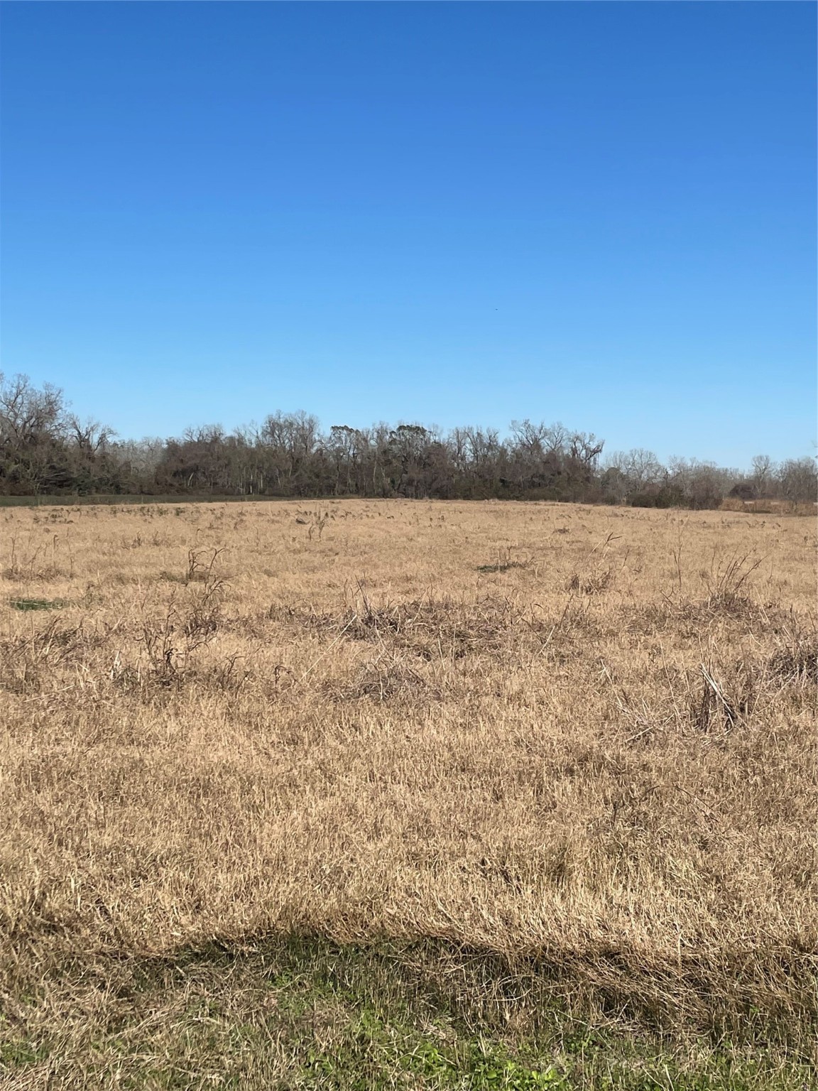 0 County Road 224 Wharton, TX 77488 - Photo 5 of 5 a view of lake and mountain