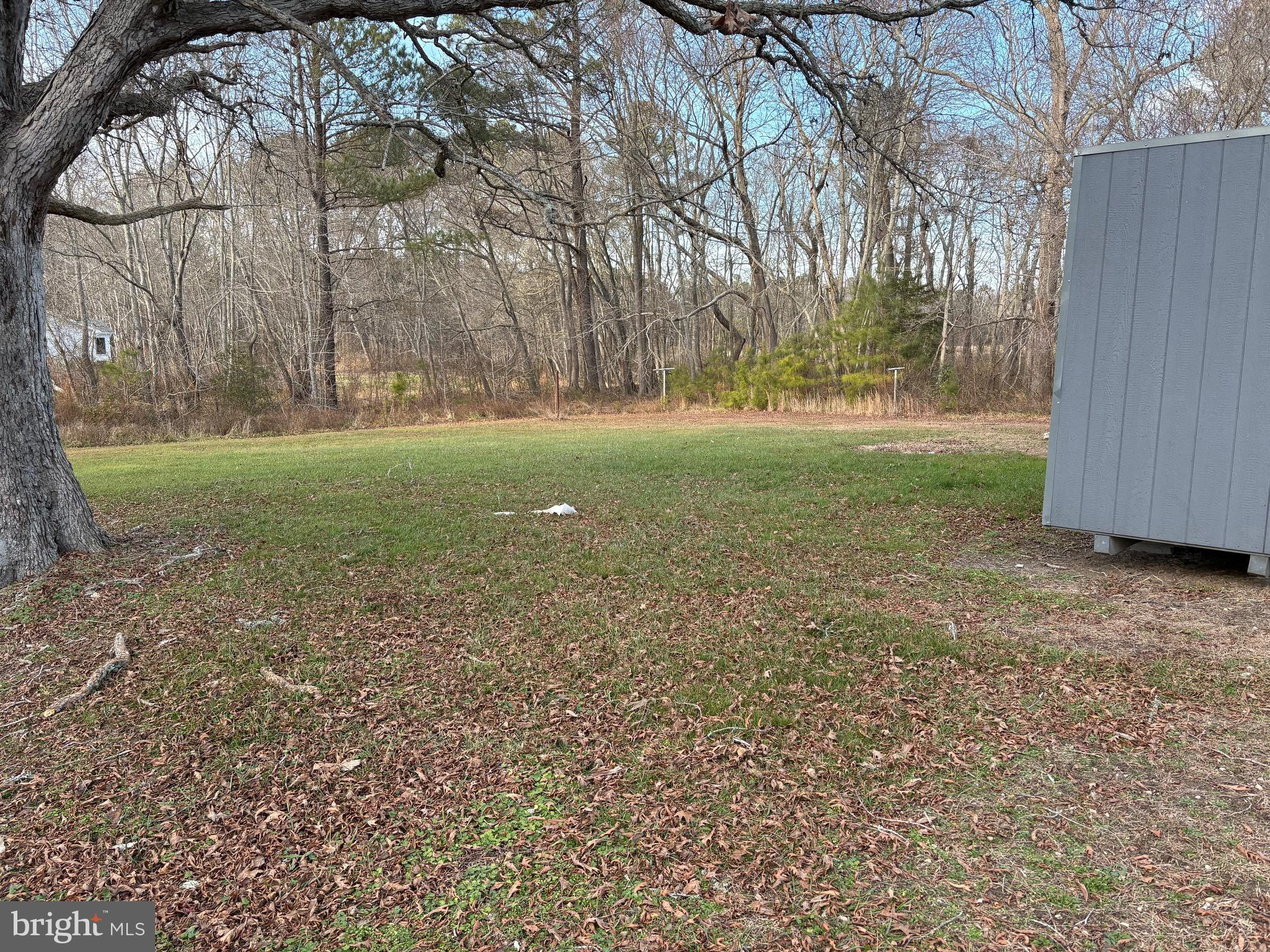 7603 Buckeye Road Newark, MD 21841 - Photo 2 of 6