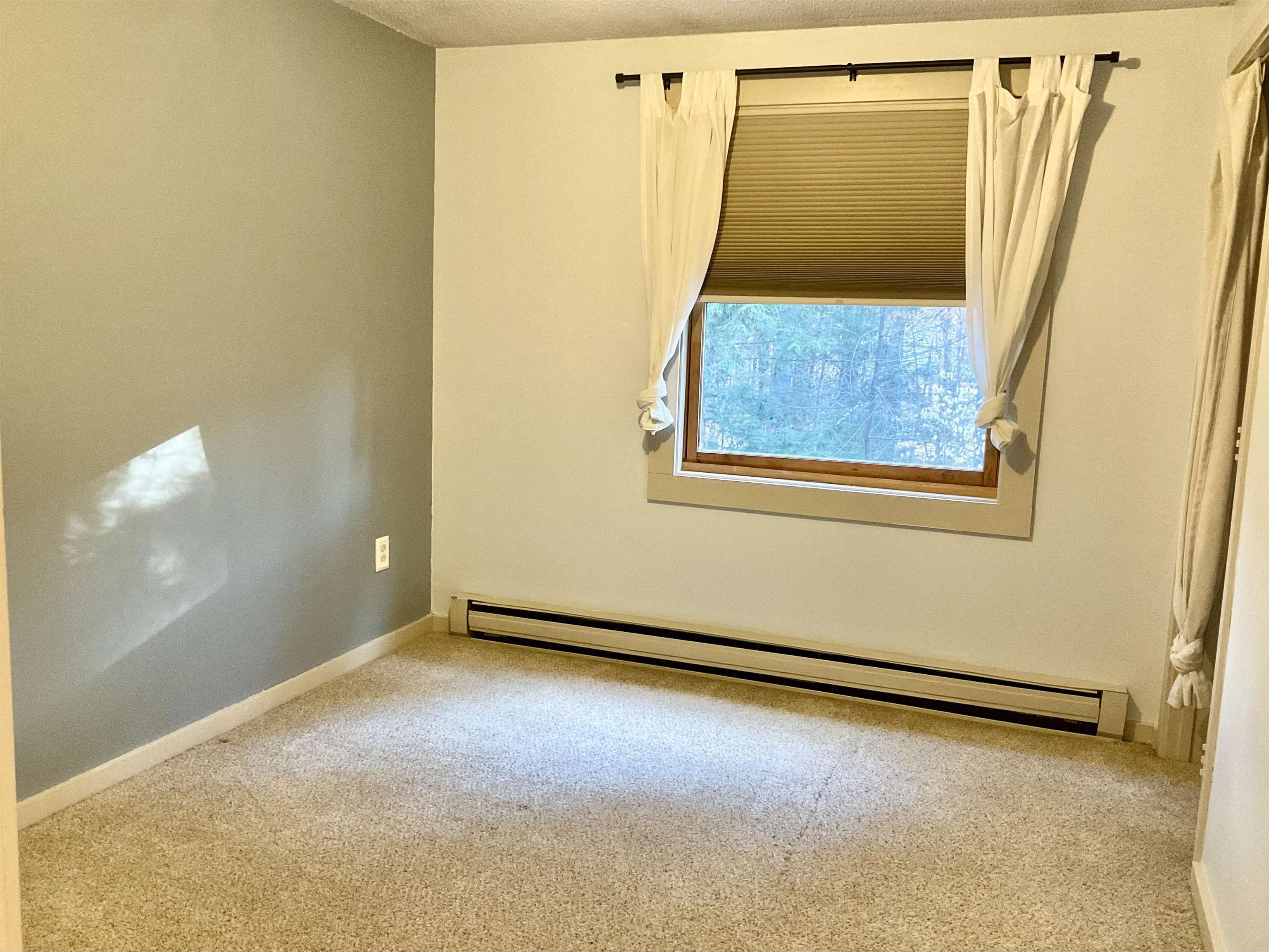 38 Webster Road, Unit 14B Conway, NH 03813 - Photo 27 of 54