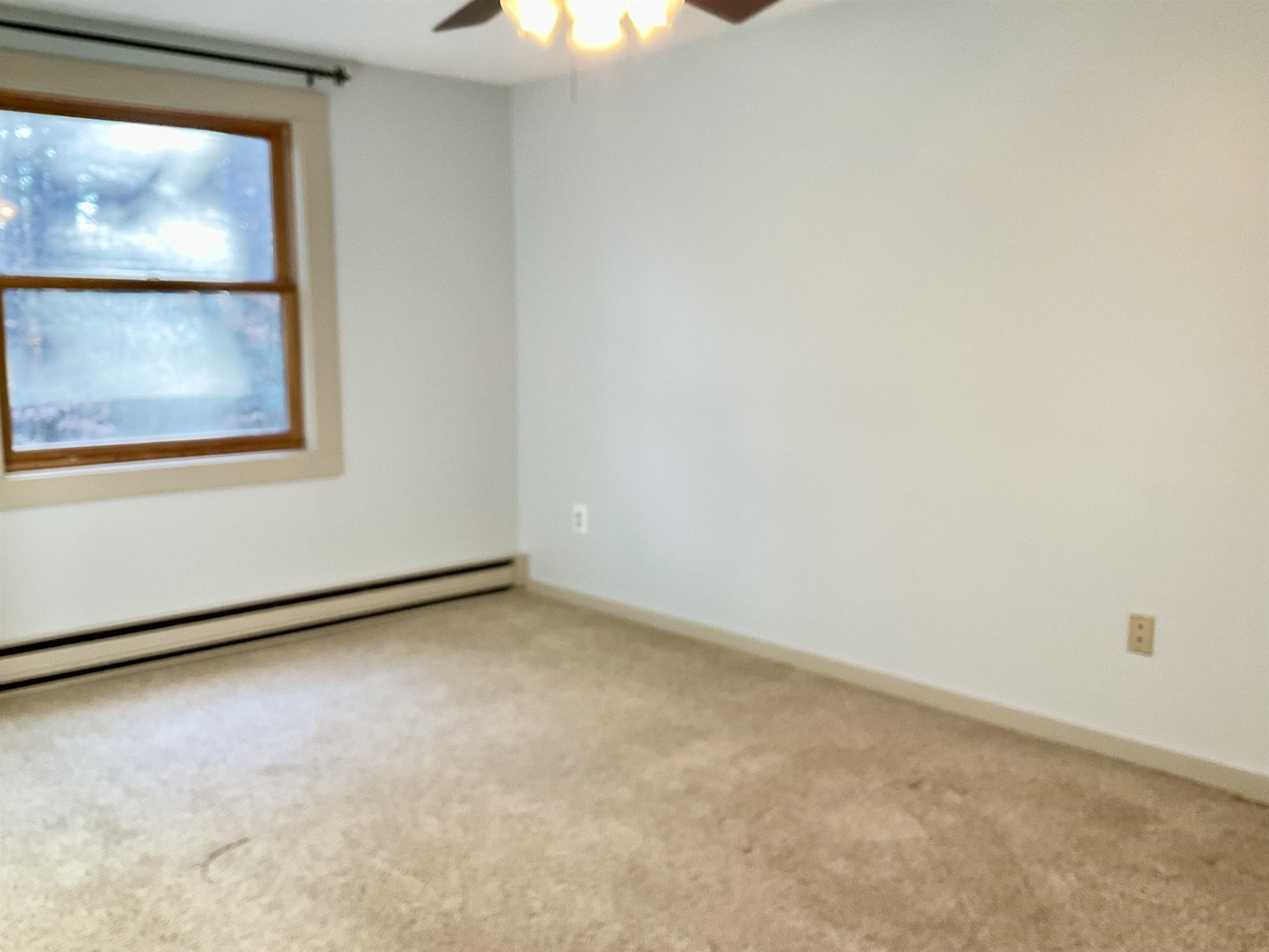 38 Webster Road, Unit 14B Conway, NH 03813 - Photo 30 of 54