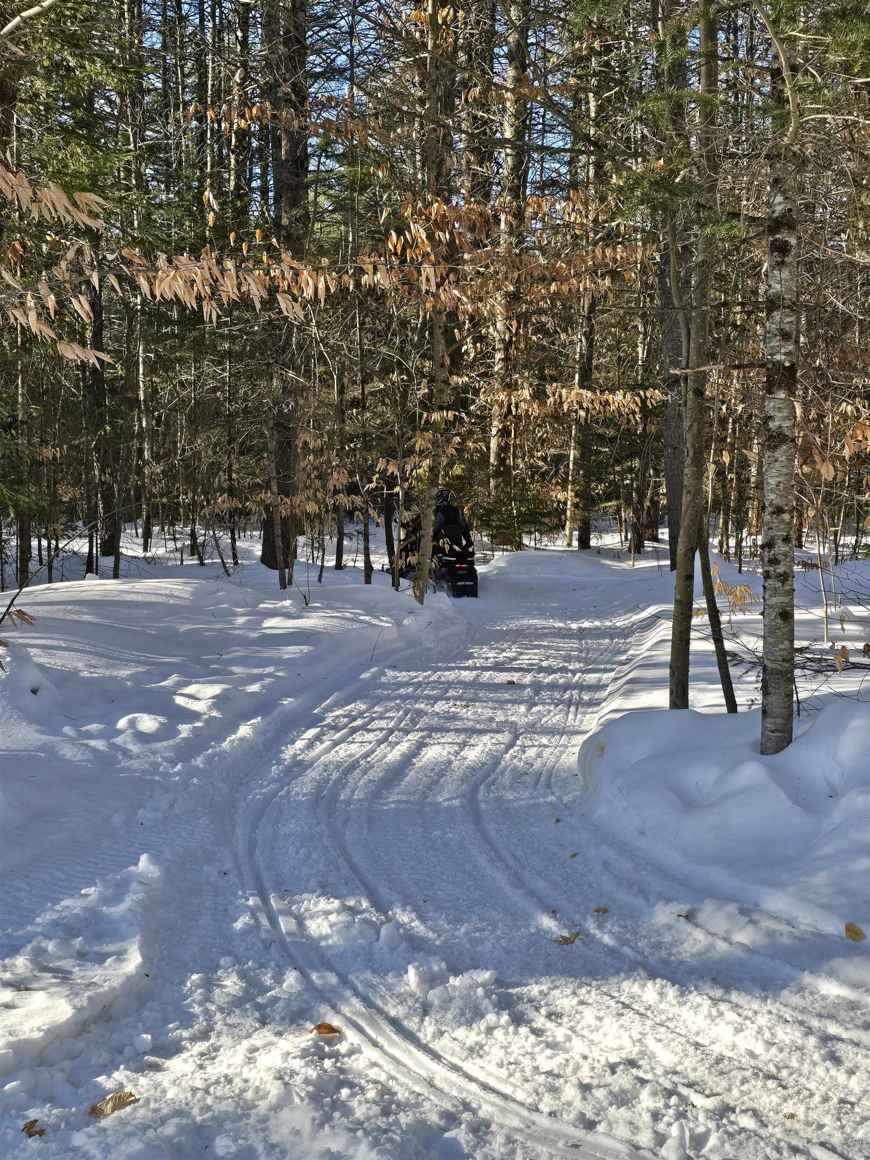 38 Webster Road, Unit 14B Conway, NH 03813 - Photo 3 of 54