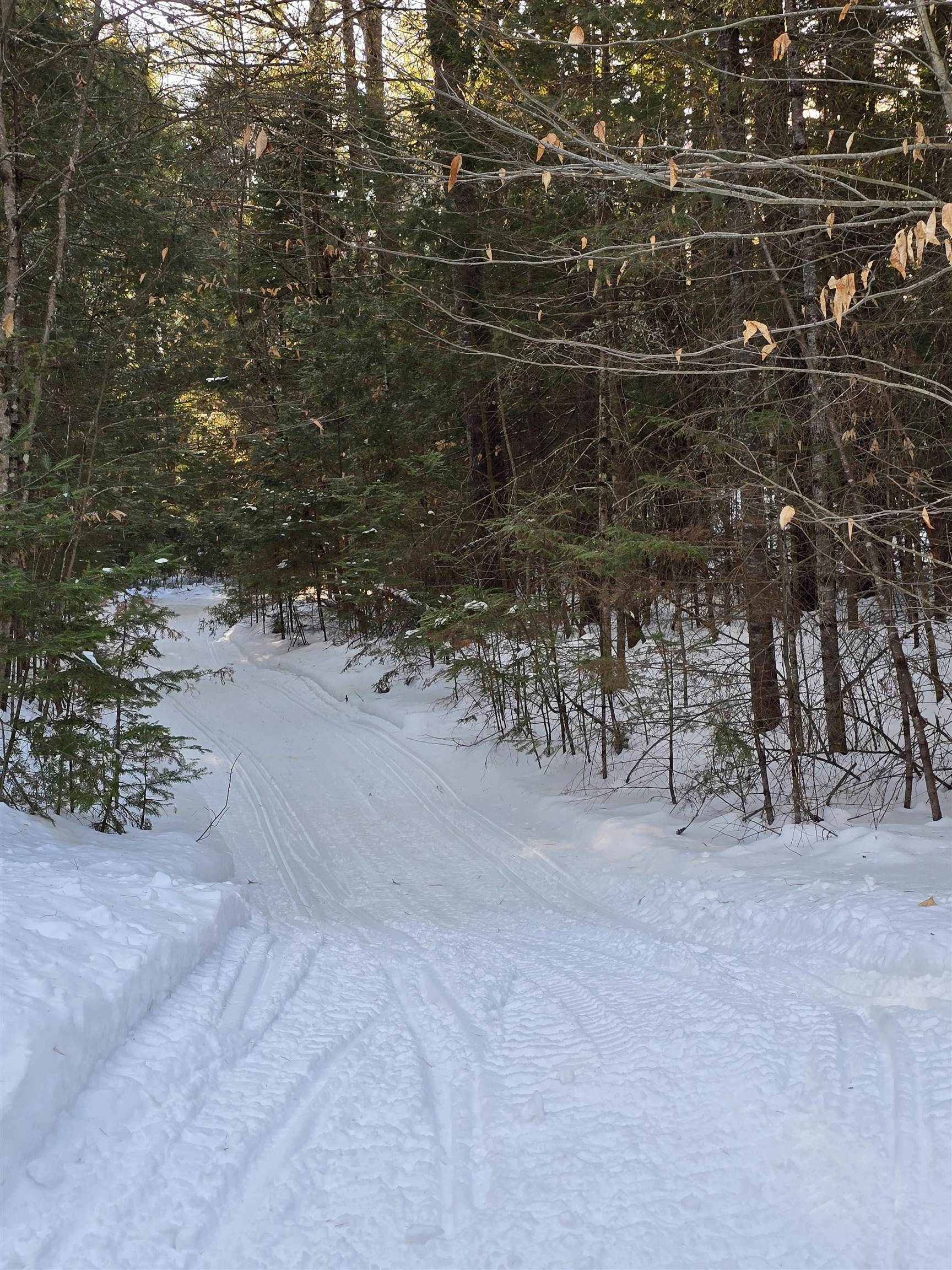 38 Webster Road, Unit 14B Conway, NH 03813 - Photo 47 of 54